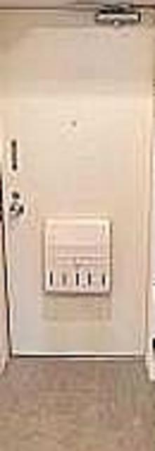 玄関　同仕様タイプ