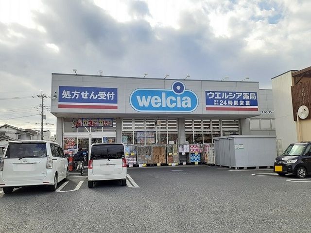 ドラックストア　ウエルシア　東川口店（ドラッグストア）まで1300m