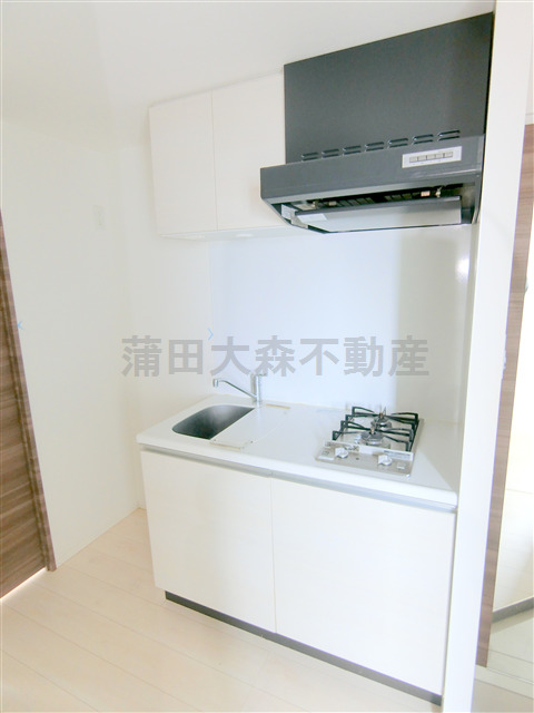 キッチン　2口ガスシステムキッチン