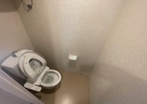 トイレ　トイレ　※同タイプの部屋のお写真です