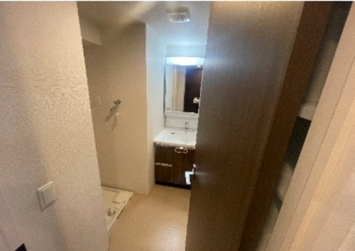 洗面設備　洗面台　※同タイプの部屋のお写真です