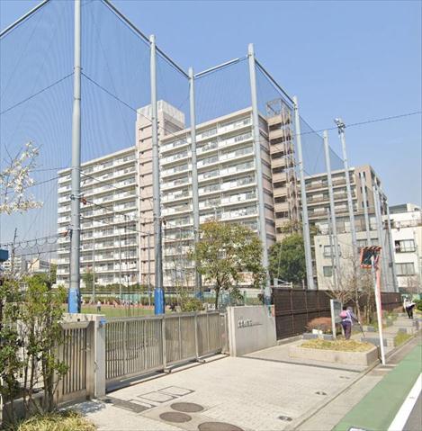 小学校　台場小学校（小学校）まで1432m