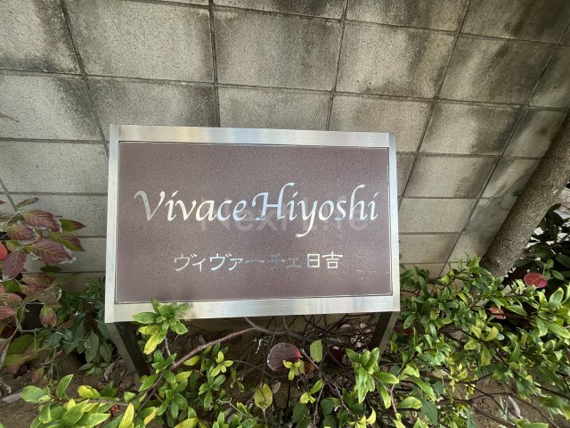 その他　ヴィヴァーチェ日吉