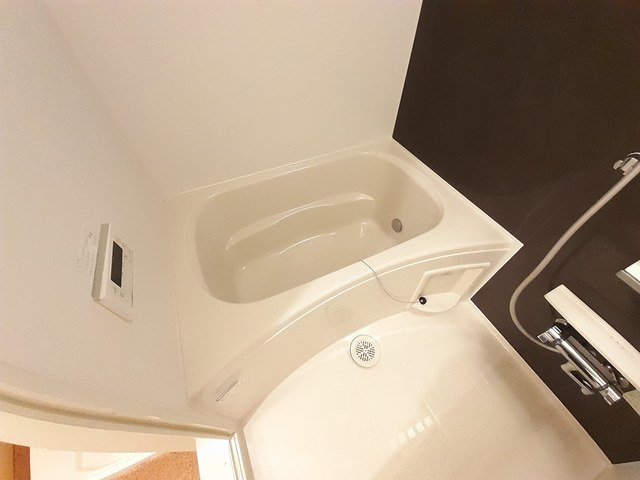サピーハーモニー富士見Iの風呂写真