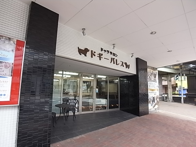 その他　ドギーパレス（その他）まで647m