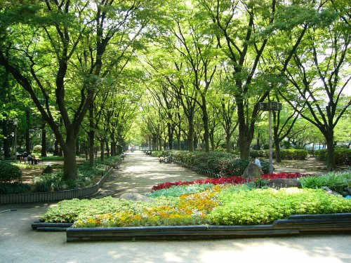 公園　靱公園（公園）まで611m