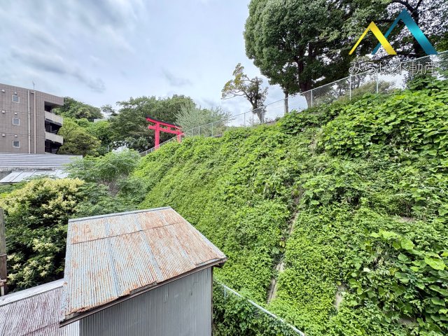 眺望　自社撮影写真