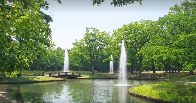 公園　代々木公園（公園）まで1422m
