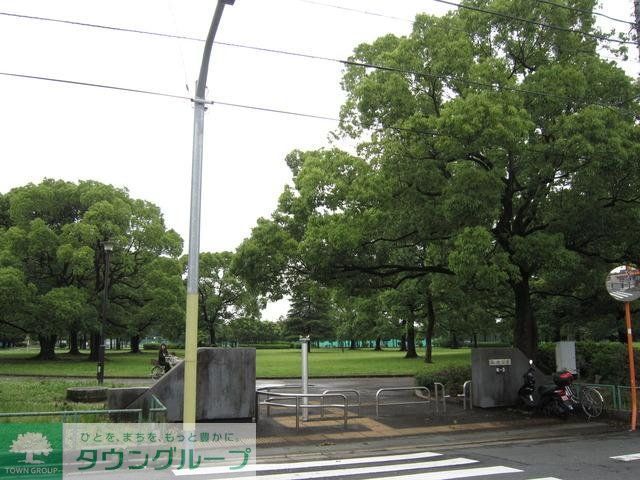 公園　篠崎公園（公園）まで1000m