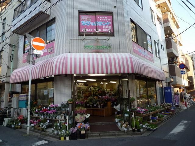 サントラルヴィラージュの周辺写真