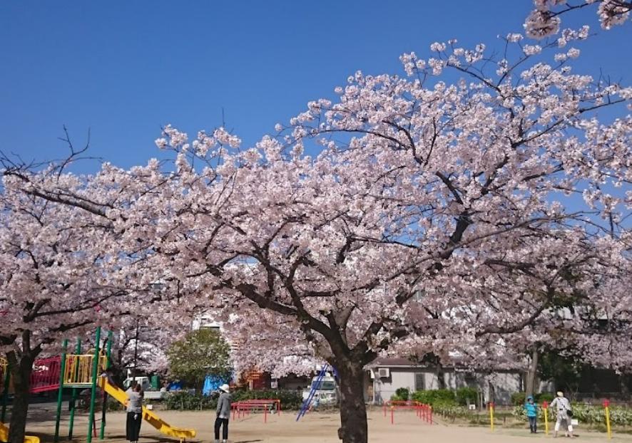 公園　老松公園（公園）まで1957m