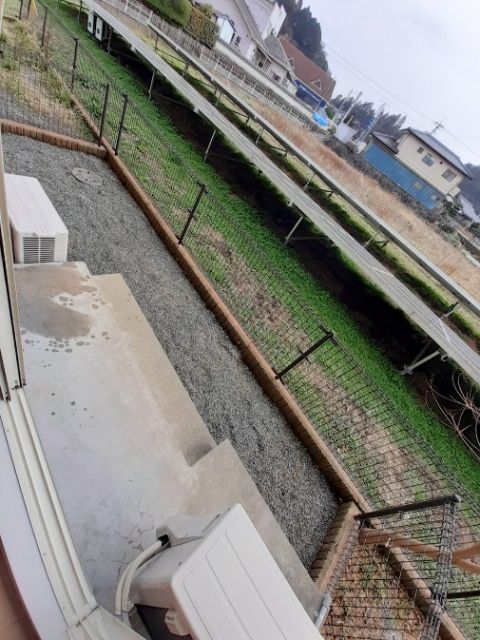 サン ブローテ ジンのその他写真