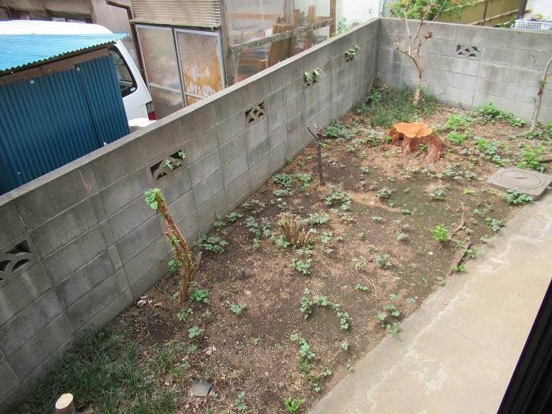 庭　Ａ号室の写真になります。
