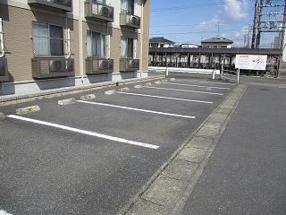 レオネクストEverPeaceのその他写真