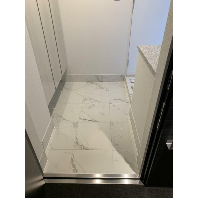 グランドシティタワー月島 部屋番号:4913の玄関写真