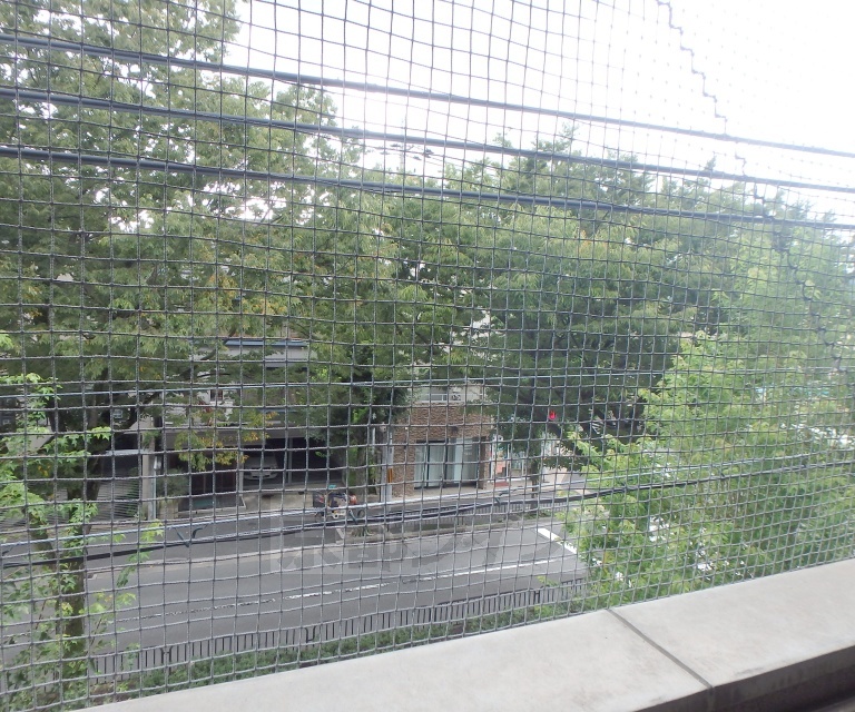 眺望　バルコニからの風景です。