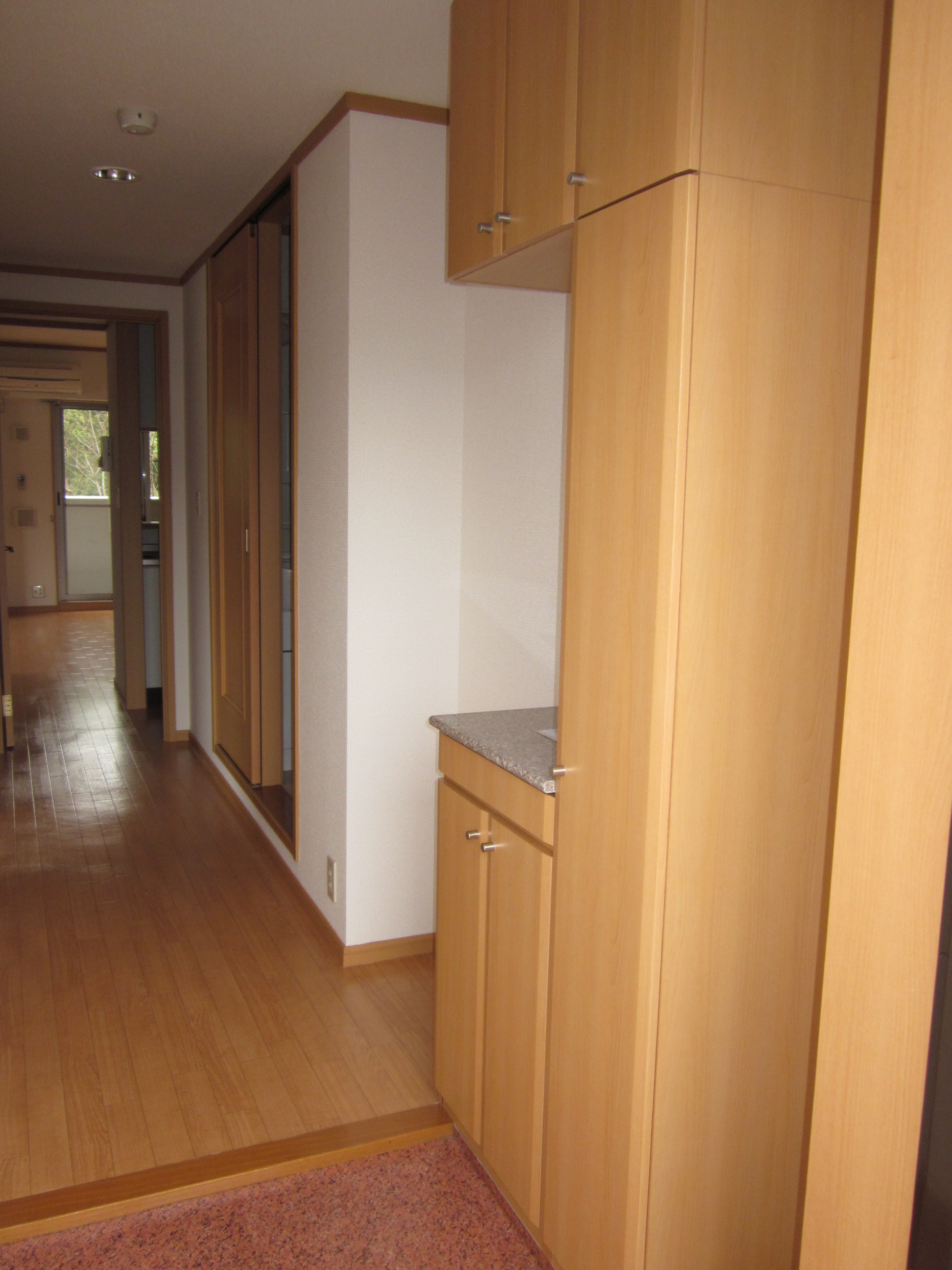 玄関　同タイプ室内