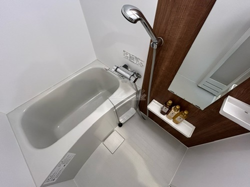 バス・シャワールーム　洗濯機、掃除機等リブマックス仕様の家具家電付き