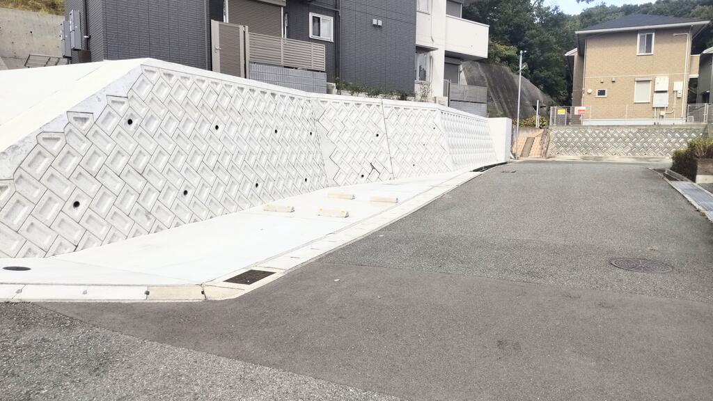 シャルマンヴィオラのその他写真