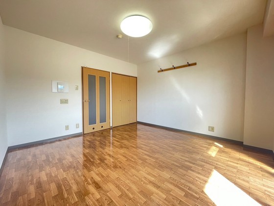 居室・リビング　※別号室の写真です