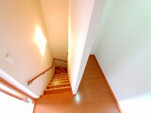 その他　階段　※2階のみ