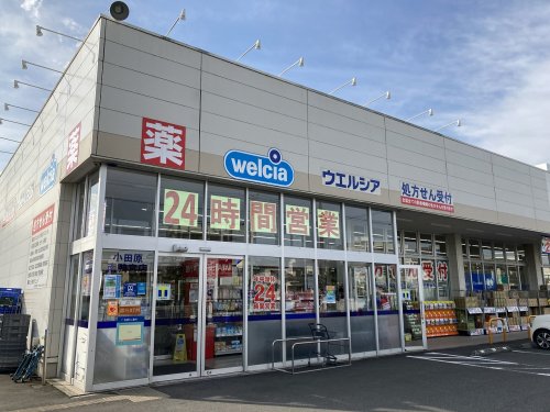 ドラックストア　ウエルシア小田原南鴨宮店（ドラッグストア）まで616m
