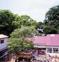 幼稚園・保育園　青葉幼稚園（幼稚園・保育園）まで154m