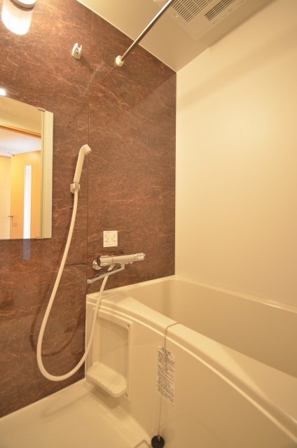 バス・シャワールーム　写真は別号室のものです。