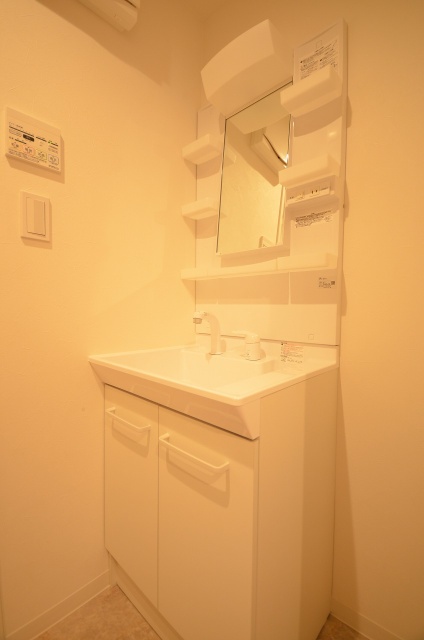 洗面設備　写真は別号室のものです。