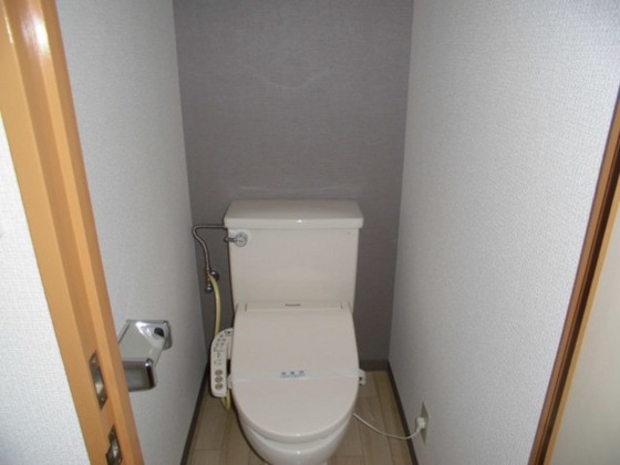 トイレ　他号室のお写真です