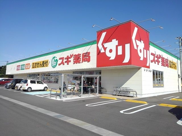 ドラックストア　スギ薬局竹鼻店（ドラッグストア）まで700m