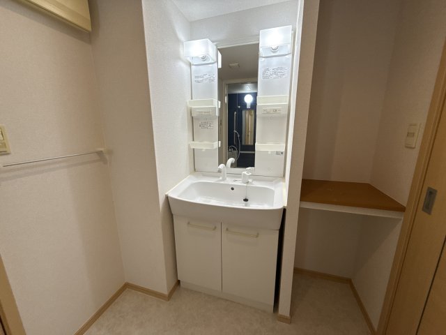 洗面設備　シャンプードレッサー完備ですヽ(＾o＾)丿