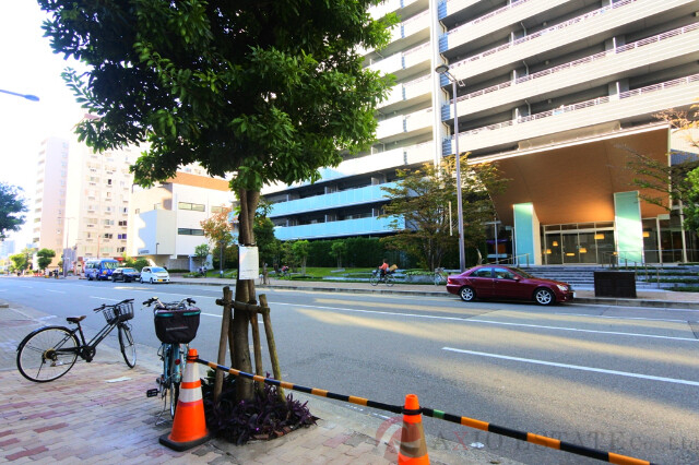 その他　周辺（その他）まで10m