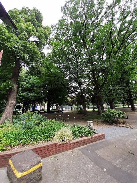 公園　青山公園（公園）まで215m