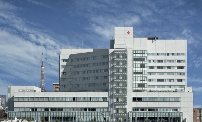 病院　日本赤十字社医療センター（病院）まで379m