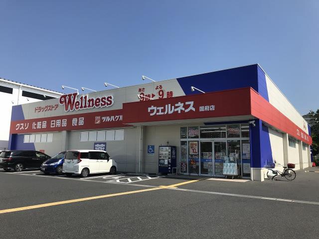ドラックストア　ウェルネス国府店（ドラッグストア）まで806m