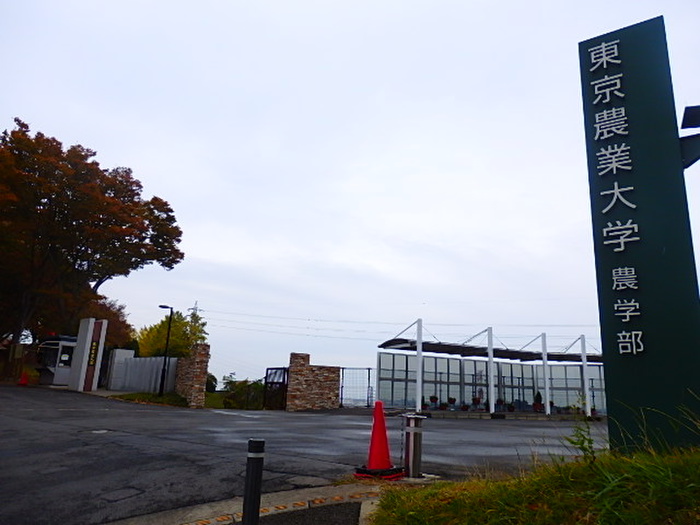 大学・短大　東京農業大学（大学・短大）まで1780m
