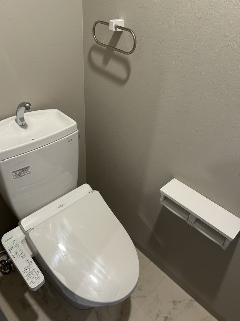 トイレ　同物件別号室のものです。