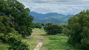 公園　桂川緑地離宮前公園（公園）まで869m