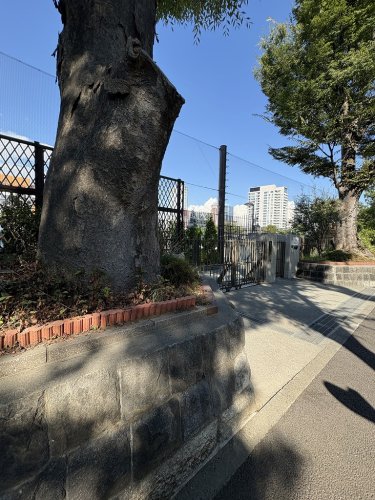 中学校　港区立高陵中学校（中学校）まで422m