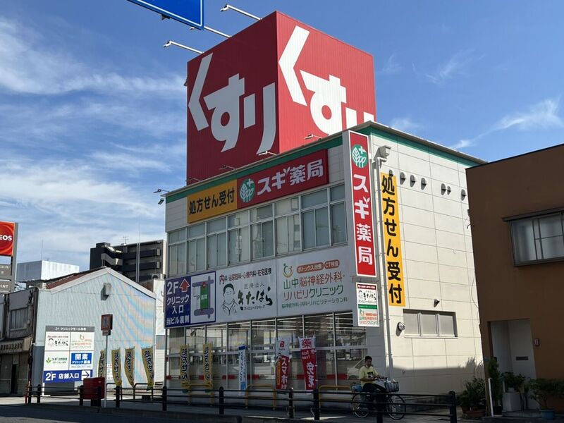 ドラックストア　スギ薬局林寺店（ドラッグストア）まで1162m