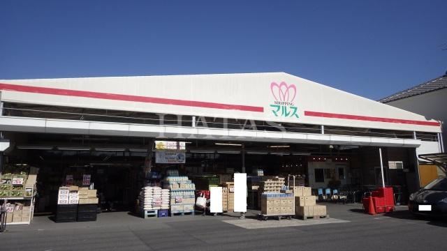スーパー　ショッピングマルス　本店（スーパー）まで328m