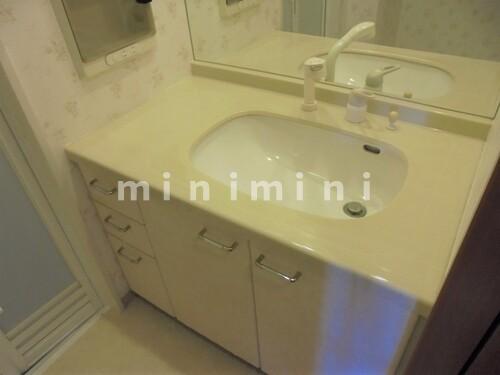 洗面設備　※写真は他号室を含む為現状優先とさせて頂きます