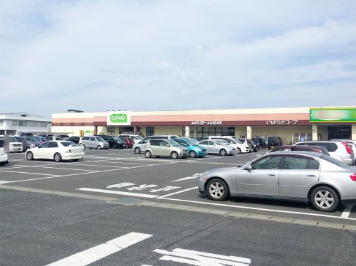 スーパー　いばらきコープ生協　水戸店（スーパー）まで1175m