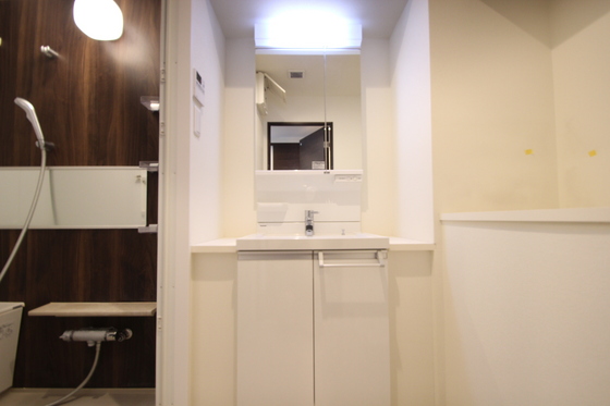 洗面設備　※別号室の写真です