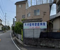 病院　大分動物愛護病院（病院）まで719m