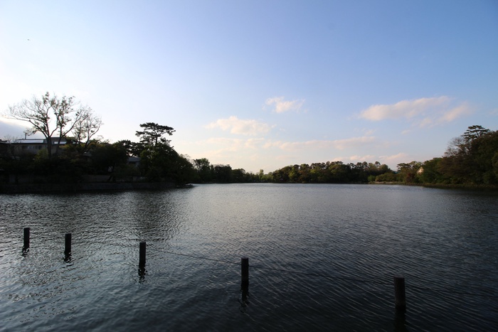 公園　洗足池公園（公園）まで668m