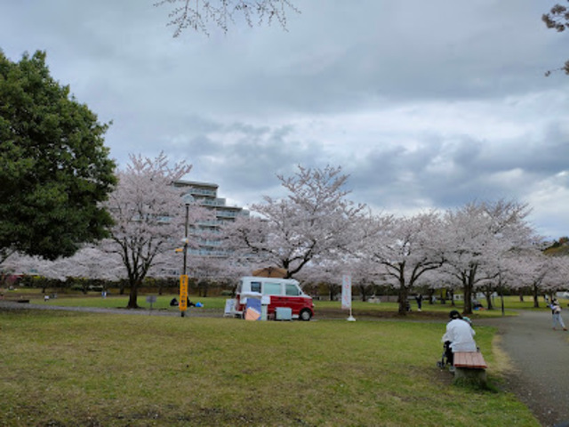 公園　清水谷戸緑地（公園）まで3534m