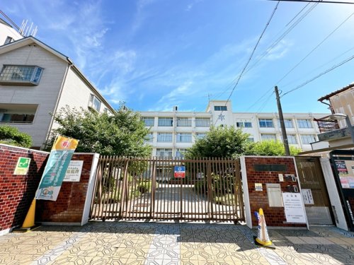 小学校　大隅東小学校（小学校）まで523m