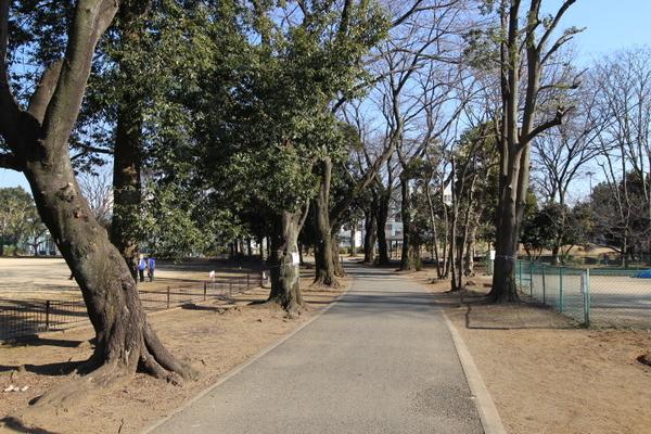公園　稲荷久保公園（公園）まで1314m